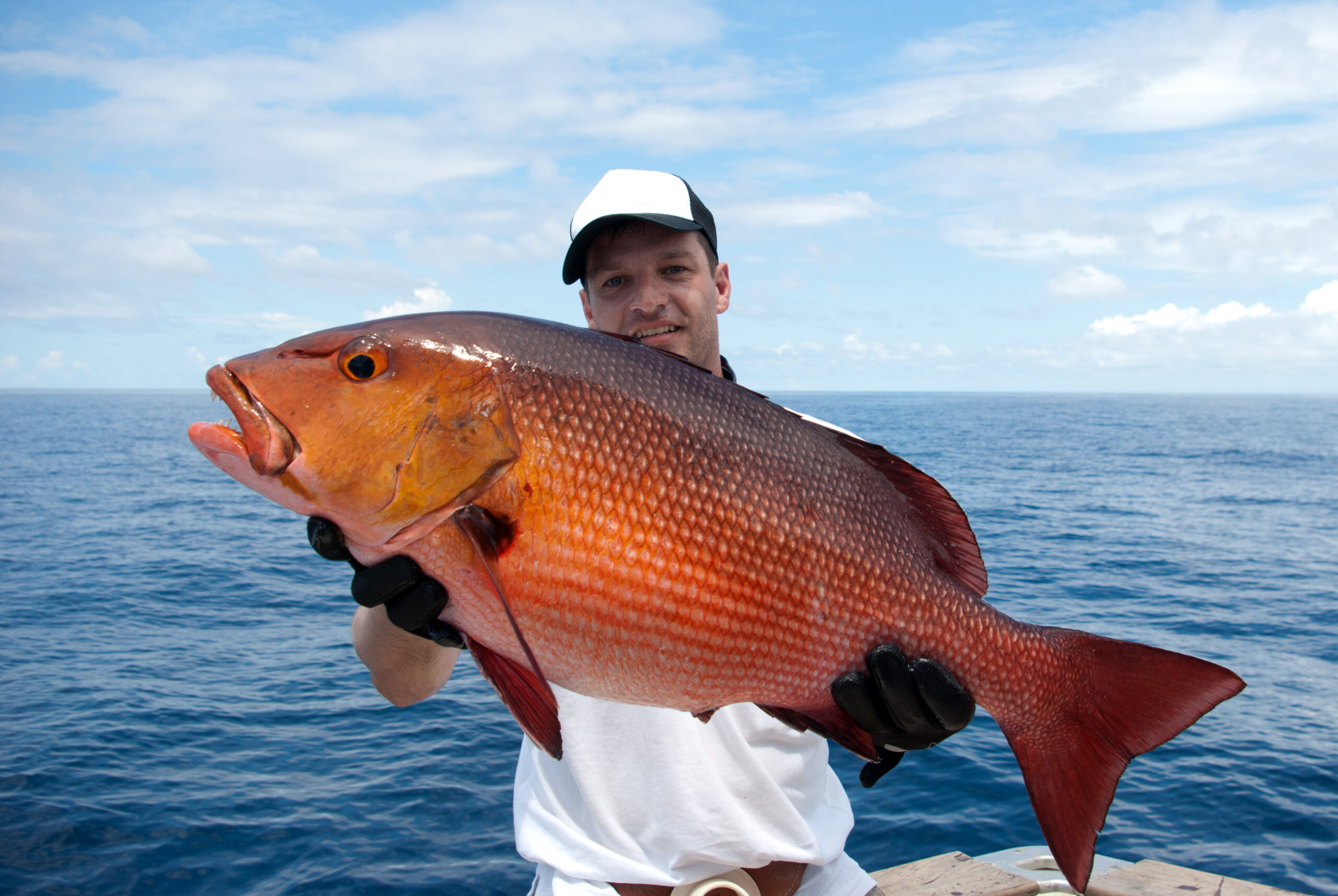 Blog - Game Changer Charters