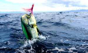 fishing trip photo gallery